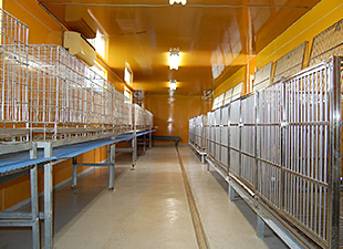 子犬飼育スペース