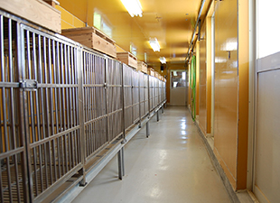 成犬就寝スペース