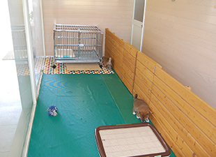 子犬用ドッグラン
