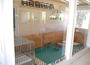 子犬用ドッグラン